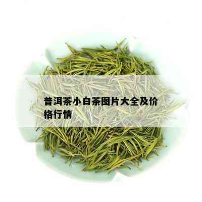 普洱茶小白茶图片大全及价格行情