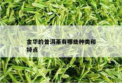 金华的普洱茶有哪些种类和特点