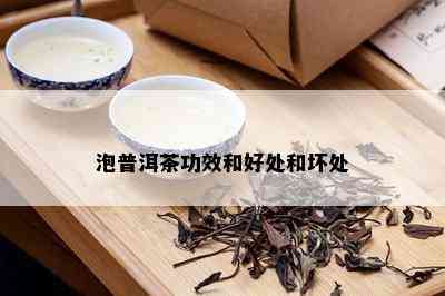 泡普洱茶功效和好处和坏处