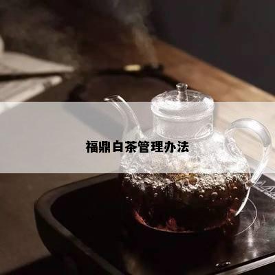 福鼎白茶管理办法