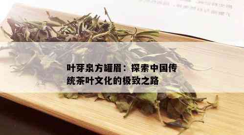 叶芽泉方罐眉：探索中国传统茶叶文化的极致之路