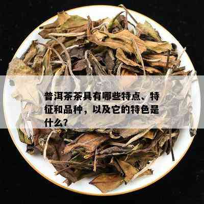 普洱茶茶具有哪些特点、特征和品种，以及它的特色是什么？