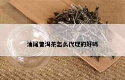 汕尾普洱茶怎么代理的好喝