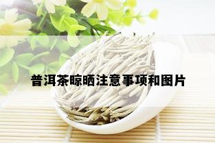 普洱茶晾晒注意事项和图片