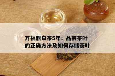 万福鼎白茶5年：品尝茶叶的正确方法及如何存储茶叶