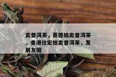 卖普洱茶，嘉德拍卖普洱茶，香港仕宏拍卖普洱茶，发朋友圈