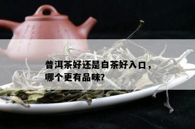 普洱茶好还是白茶好入口，哪个更有品味？