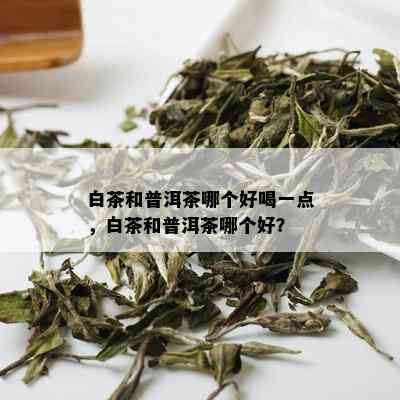 白茶和普洱茶哪个好喝一点，白茶和普洱茶哪个好？