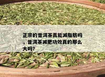 正宗的普洱茶真能减脂肪吗，普洱茶减肥功效真的那么大吗？