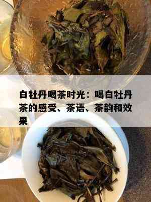 白牡丹喝茶时光：喝白牡丹茶的感受、茶语、茶韵和效果