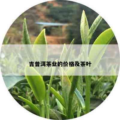 吉普洱茶业的价格及茶叶