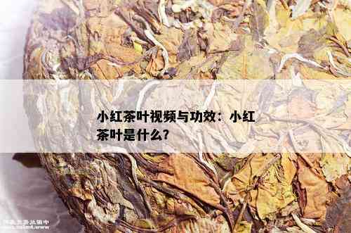 小红茶叶视频与功效：小红茶叶是什么？