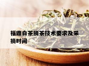 福鼎白茶摘茶技术要求及采摘时间