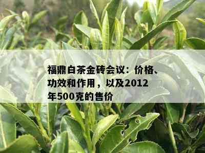 福鼎白茶金砖会议：价格、功效和作用，以及2012年500克的售价