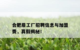 合肥眉工厂招聘信息与加盟费，真假揭秘！