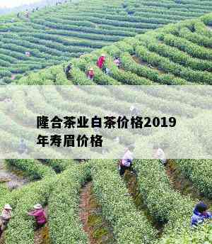 隆合茶业白茶价格2019年寿眉价格