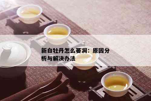 新白牡丹怎么萎凋：原因分析与解决办法