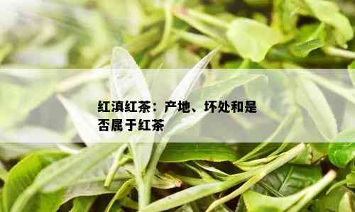 红滇红茶：产地、坏处和是否属于红茶