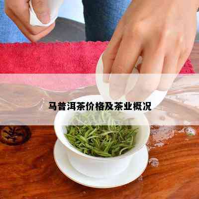 马普洱茶价格及茶业概况