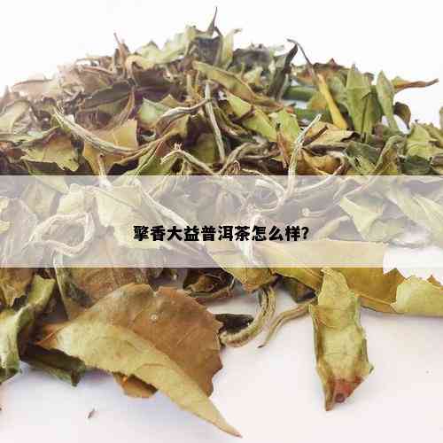 擎香大益普洱茶怎么样？