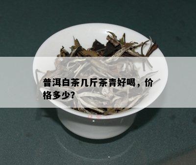 普洱白茶几斤茶青好喝，价格多少？