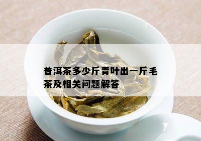 普洱茶多少斤青叶出一斤毛茶及相关问题解答