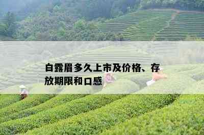 白露眉多久上市及价格、存放期限和口感