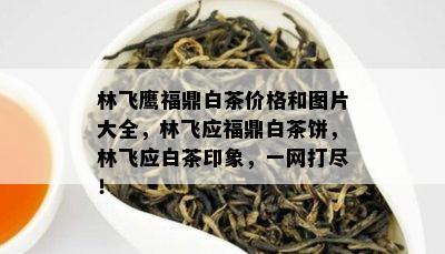 林飞鹰福鼎白茶价格和图片大全，林飞应福鼎白茶饼，林飞应白茶印象，一网打尽！