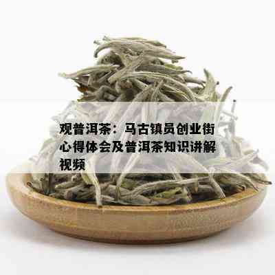 观普洱茶：马古镇员创业街心得体会及普洱茶知识讲解视频