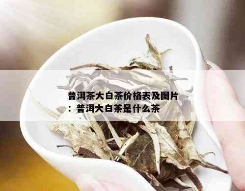 普洱茶大白茶价格表及图片：普洱大白茶是什么茶