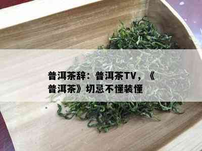 普洱茶辞：普洱茶TV，《普洱茶》切忌不懂装懂