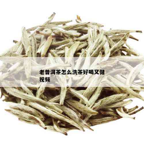 老普洱茶怎么洗茶好喝又健视频