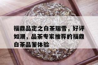 福鼎品定之白茶瑞雪，好评如潮，品茶专家推荐的福鼎白茶品鉴体验