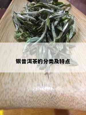 银普洱茶的分类及特点