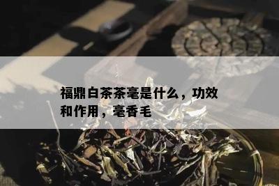 福鼎白茶茶毫是什么，功效和作用，毫香毛