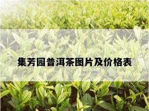 集芳园普洱茶图片及价格表