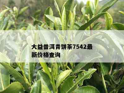 大益普洱青饼茶7542最新价格查询