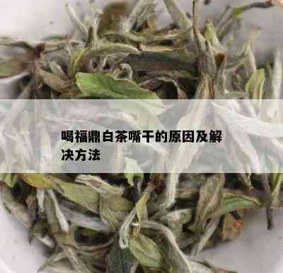 喝福鼎白茶嘴干的原因及解决方法