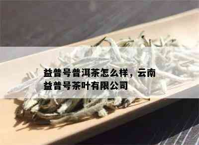 益普号普洱茶怎么样，云南益普号茶叶有限公司