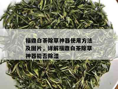 福鼎白茶除草神器使用方法及图片，详解福鼎白茶除草神器能否除湿