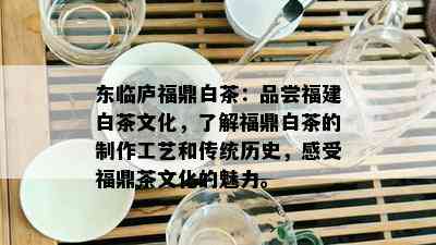 东临庐福鼎白茶：品尝福建白茶文化，了解福鼎白茶的制作工艺和传统历史，感受福鼎茶文化的魅力。