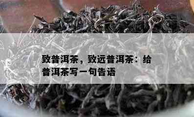 致普洱茶，致远普洱茶：给普洱茶写一句告语