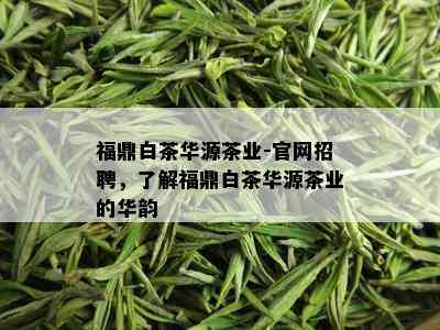 福鼎白茶华源茶业-官网招聘，了解福鼎白茶华源茶业的华韵