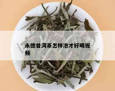 永德普洱茶怎样泡才好喝视频