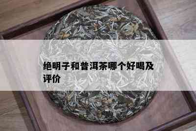 绝明子和普洱茶哪个好喝及评价