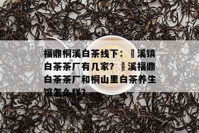 福鼎桐溪白茶线下：磻溪镇白茶茶厂有几家？磻溪福鼎白茶茶厂和桐山里白茶养生馆怎么样？