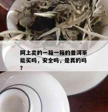 网上卖的一箱一箱的普洱茶能买吗，安全吗，是真的吗？