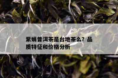 紫娟普洱茶是台地茶么？品质特征和价格分析