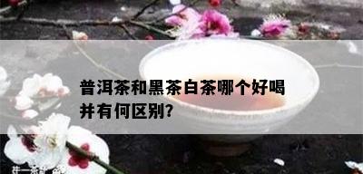 普洱茶和黑茶白茶哪个好喝并有何区别？