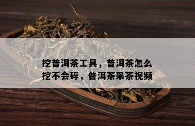 挖普洱茶工具，普洱茶怎么挖不会碎，普洱茶采茶视频